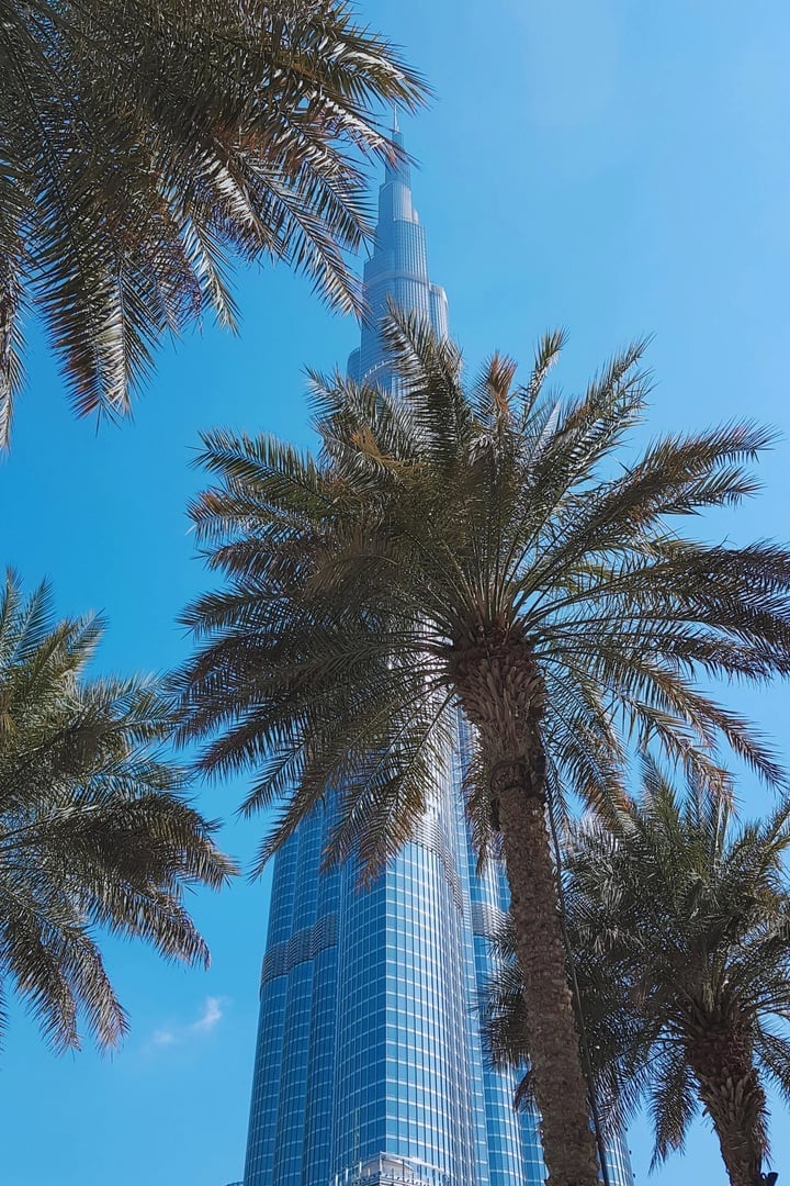 Legal and business advisory